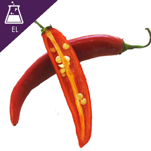 Ginger root in closeup Capsicum Extract Liquid