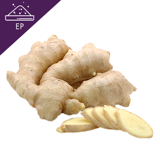 Ginger Extract Powder