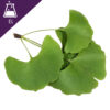 Ginkgo Biloba Extract Liquid