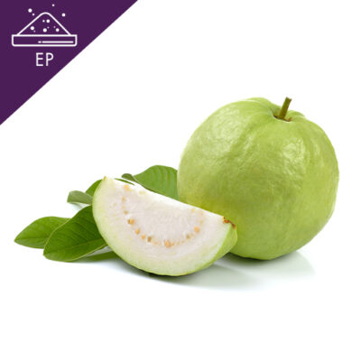 Guava Extract Powder