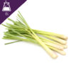 Lemongrass Extract Liquid