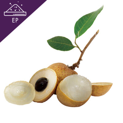 Longan Extract Powder