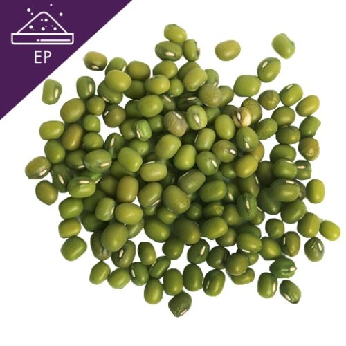 Ginger root in closeup Mung Bean Extract Powder