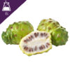 Noni Extract Liquid