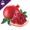 Pomegranate Extract Liquid