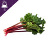 Rhubarb Extract Liquid