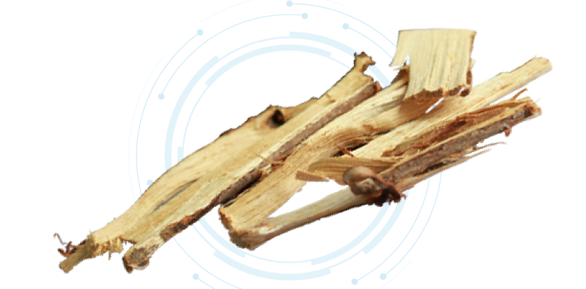 Ma-haad Extract Liquid