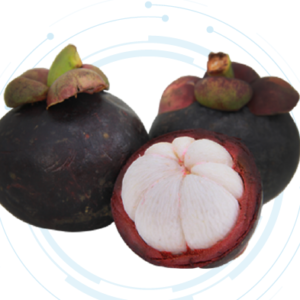 Mangosteen Extract Liquid
