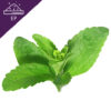 Stevia Extract Powder