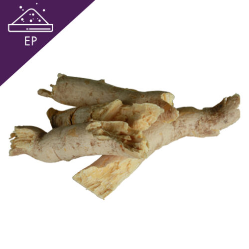 Ginger root in closeup สารสกัดปลาไหลเผือกแบบผง