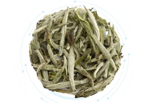 White Tea Extract สารสกัดชาขาวแบบน้ำ
