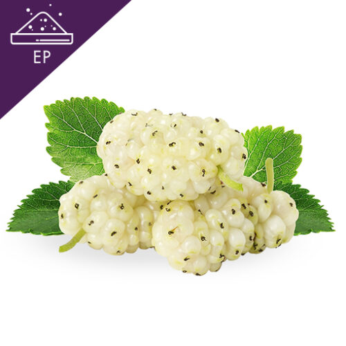 Ginger root in closeup White Mulberry Extract Powder