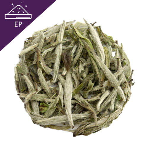 Ginger root in closeup White Tea Extract Powder