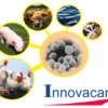 Innovacan