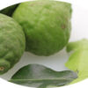 Kaffir Lime Oil