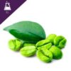 Green Coffee Bean  Extract Liquid (เมล็ดกาแฟ)