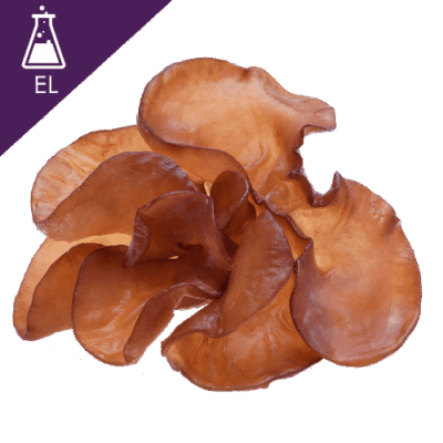 Tremelaria Extract Liquid