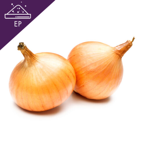 Ginger root in closeup Allium cepa Extract Powder