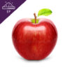 Apple Extract Powder