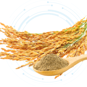 Brewer's Yeast Extract Powder