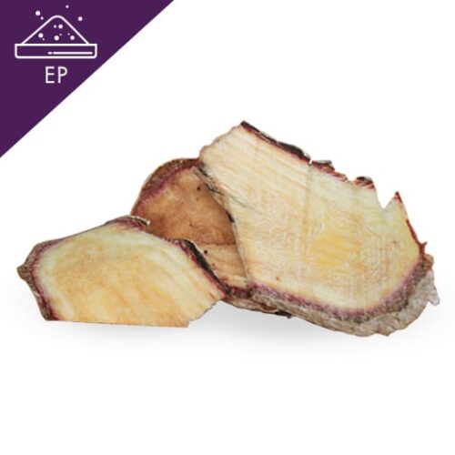 Ginger root in closeup Butea Superba Extract Powder