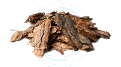 Pine Extract Liquid