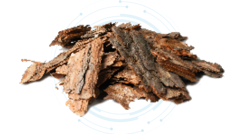 Pine Extract Liquid