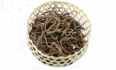 Helicteres Isora Extract Powder