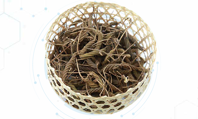 Helicteres Isora Extract Powder