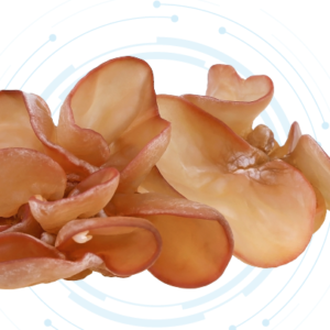 Wood Ear Mushroom Extract Powder