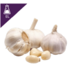 Garlic Extract Liquid