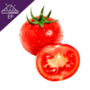 Tomato Extract Powder