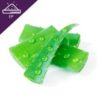 Aloe vera Extract Powder (ว่านหางจระเข้)