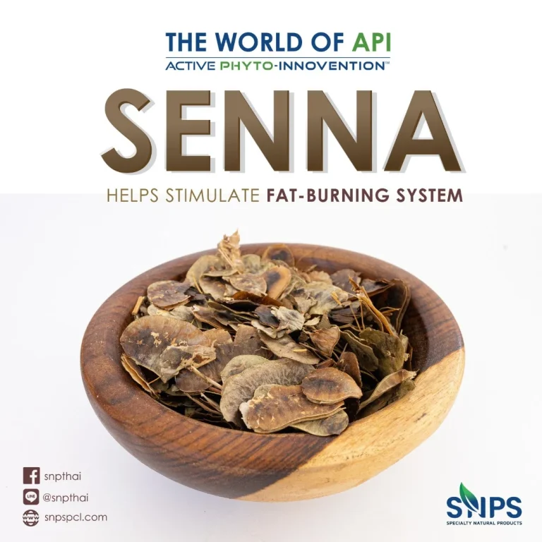 The world of “API”Active Phyto-Innovetion ™ SENNA extract สารออกฤทธิ์สำคัญใน มะขามแขก คือสารแอนทราควิโนน (Anthraquinones)