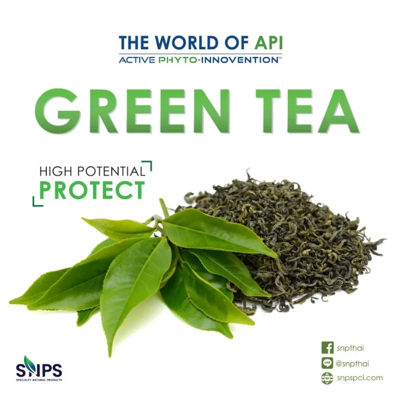The world of “API”Active Phyto-Innovention(tm) GREEN TEA extractสารออกฤทธิ์สำคัญใน ชาเขียว คือสารEpigallocatechingallate (EGCG)