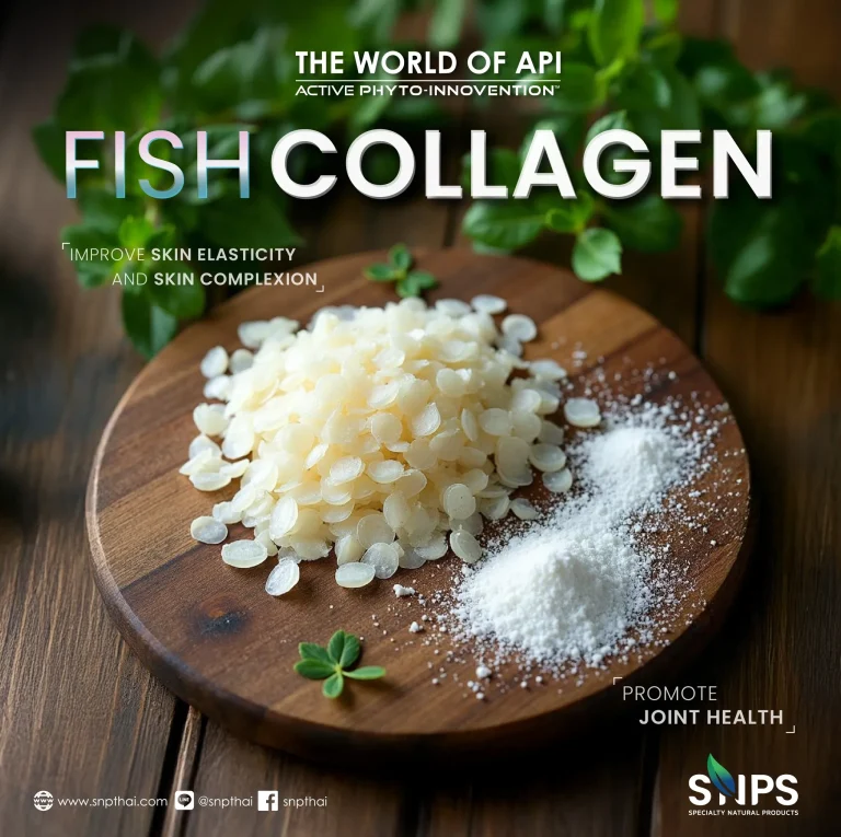 🐟Fish Collagen: เคล็ดลับผิวสวย กระดูกแข็งแรง ในผลิตภัณฑ์เสริมอาหารยอดนิยม
