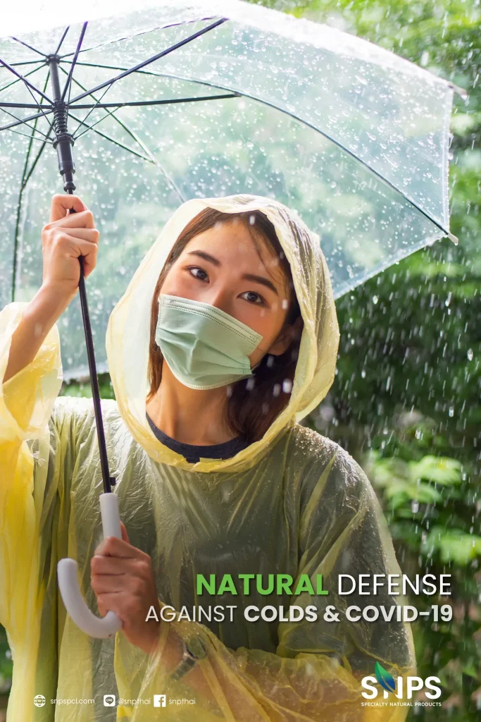 🌧️ หน้าฝนนี้… ป้องกันหวัด ห่างไกลโควิด ด้วยสมุนไพรจากครัวไทย