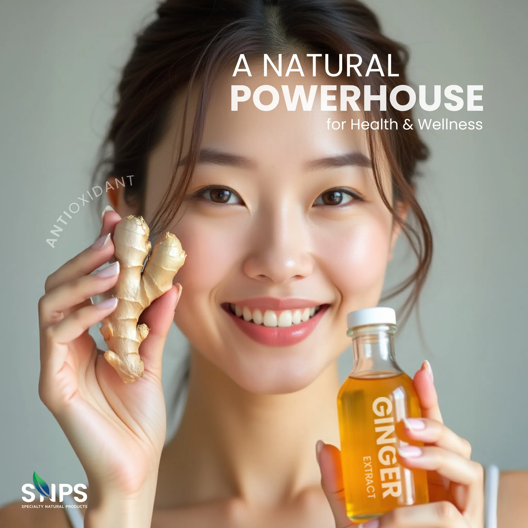 🌿 Ginger Extract – พลังธรรมชาติจากขิง สมุนไพรคู่ครัวเพื่อสุขภาพที่ยั่งยืน