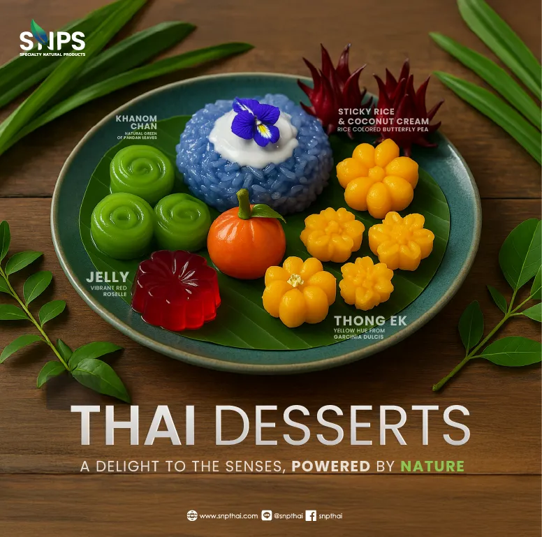 🍮 ขนมไทยดีต่อใจ สีสันสดใส ได้จากธรรมชาติ🌈