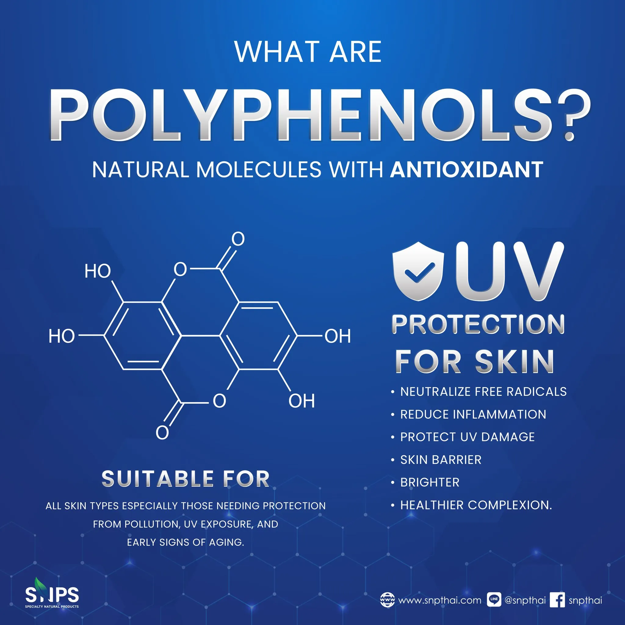 รู้จัก Polyphenols โมเลกุลที่เป็นโล่จิ๋วปกป้องผิวจากความเสื่อม