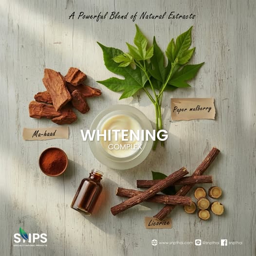 Whitening Complex สูตรรวมสารสกัดเข้มข้น เพื่อผิวกระจ่างใสอย่างเป็นธรรมชาติ
