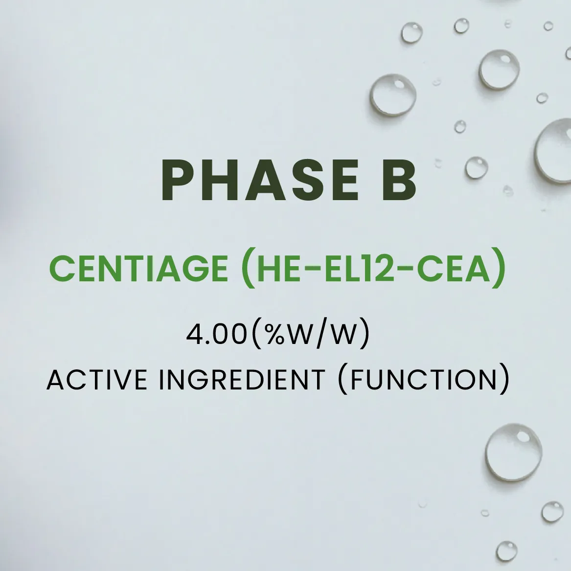 616372417_1310097217818167_3718350110676968016_n