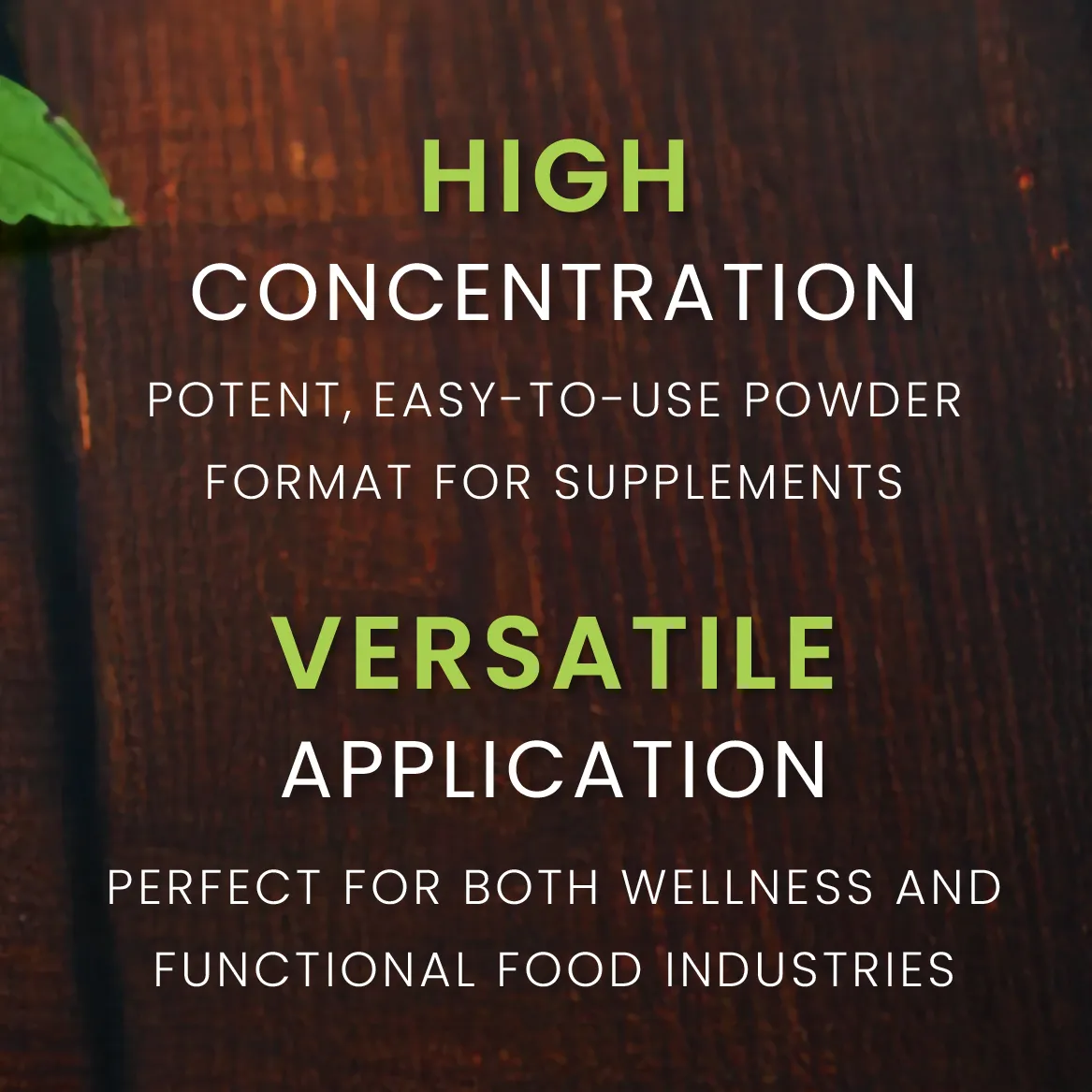 626840973_1325775579583664_1528908288598394626_n