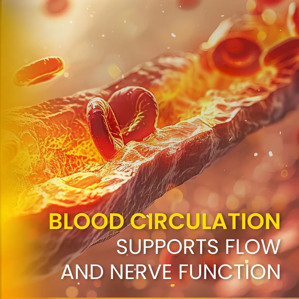 631445405_1332284038932818_8965516713711045647_n