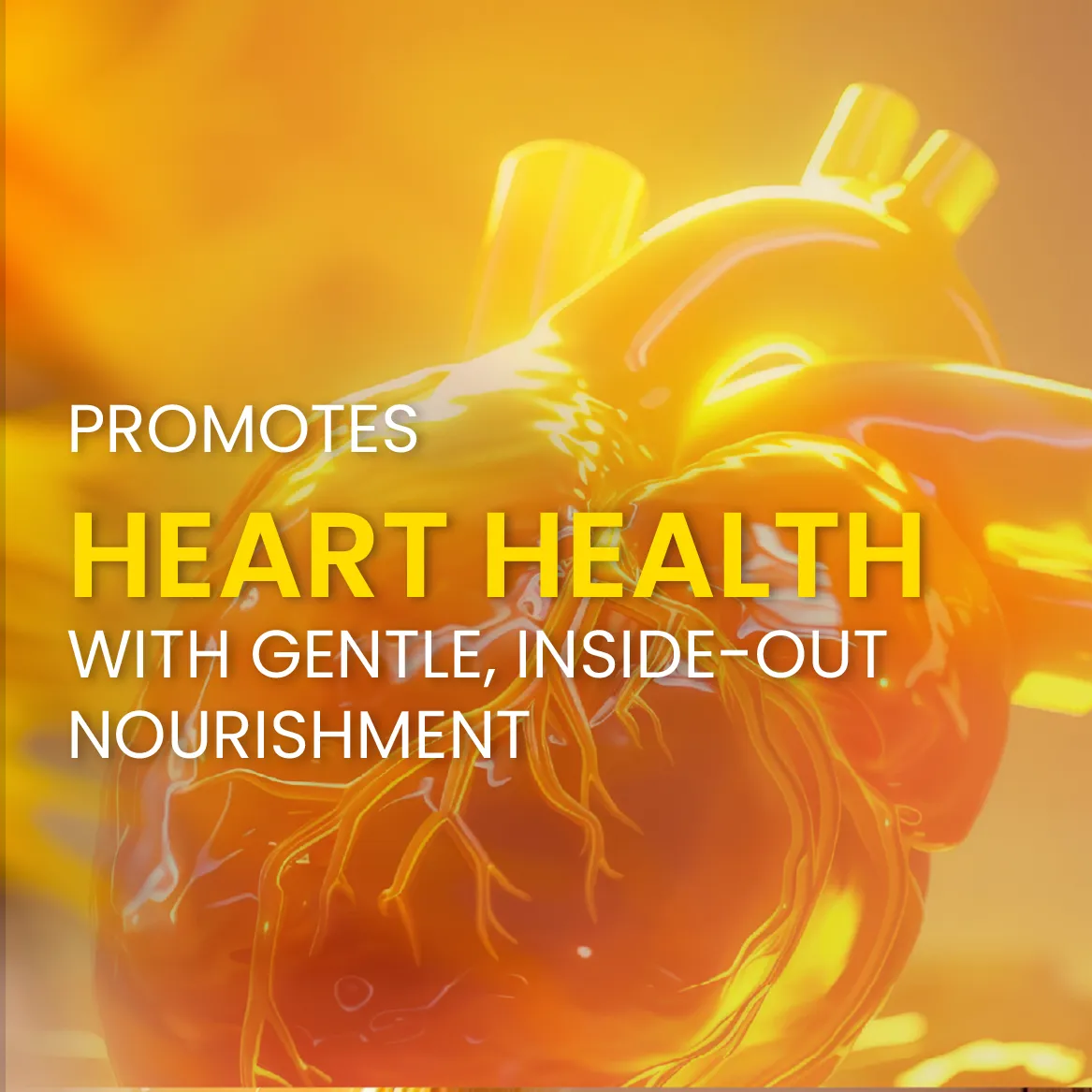 631646851_1332284115599477_1875638823124107067_n